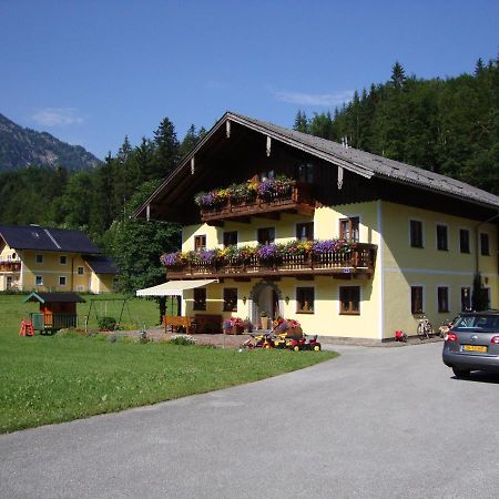 Pferdehof Almgut Apartment Faistenau Exterior photo