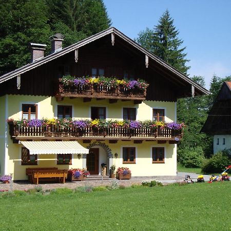 Pferdehof Almgut Apartment Faistenau Exterior photo