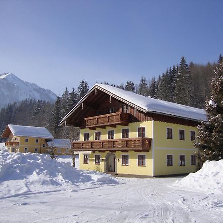 Pferdehof Almgut Apartment Faistenau Exterior photo