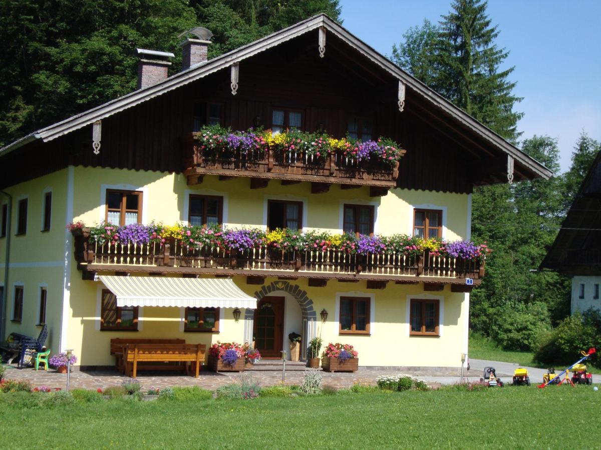 Pferdehof Almgut Apartment Faistenau Exterior photo