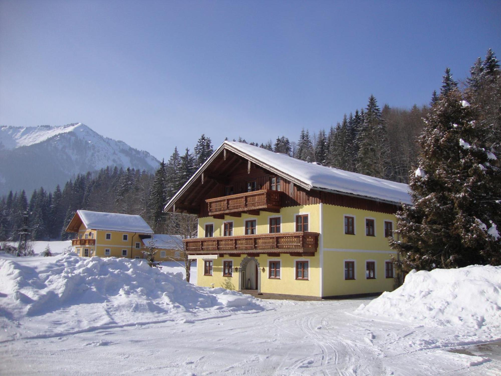 Pferdehof Almgut Apartment Faistenau Exterior photo